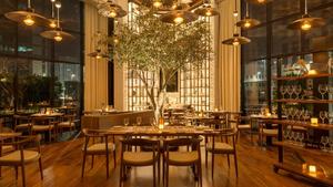 Juegos de Sillas para Restaurantes de Hoteles 5 Estrellas con Reposabrazos y Muebles Comerciales Sillas y Mesas para Hotel para Solución Integral - Product Image 2