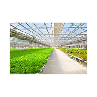 Serre agricole multi-chapelle en PVC blanc de haute qualité pour système hydroponique NFT, avec structure en acier et éclairage de croissance économe en eau