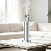 Diffuseur d'huiles essentielles sans eau 3004 pour usage domestique, diffuseur d'air en métal pour restaurant