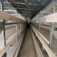 Cage automatique à batterie à plusieurs niveaux pour l'élevage de poulets de chair et de volailles Philippines Caractéristiques Cage de poulailler pour poulailler Maison Maille