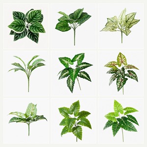 Bouquet de feuilles de lierre artificielles vertes 30cm-100cm style nordique pour la décoration de la maison - Product Image 5