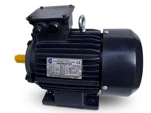 high speed 3 motor 2880 rpm 2 pole induction motor for pumps compressors and industrial machinery long life use - Product Image 4
