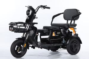 Tricycle pour passagers 1000W, tricycle adulte, tricycles - Product Image 4