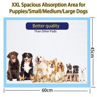 Tapis d'apprentissage jetables imperméables pour chiens 56x56cm, vente en gros d'usine