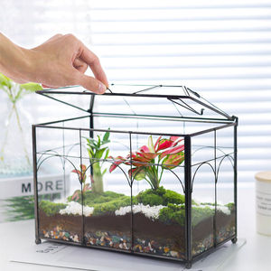 Terrario de Vidrio Grande y Alto para Plantas, con Tapa, para Interiores, de Sobremesa, para Orquídeas y Suculentas - Product Image 1