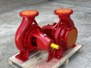 Bombas Centrífugas de Succión Axial de Fábrica, Bombas Horizontales de Hierro/Acero al Carbono/Hierro Dúctil/Acero Inoxidable, 60Hz 50Hz - Product Image 2