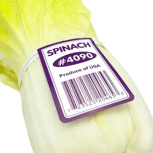 Bandes élastiques sur mesure avec étiquettes pour légumes verts: Optimisation des solutions d'emballage pour les grandes exploitations maraîchères