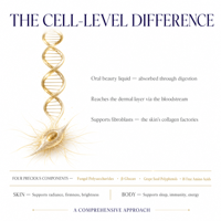 Liquide oral à base de polysaccharides fongiques, boisson à l'extrait de champignons bioactifs, 18 acides aminés naturellement fermentés