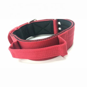 Collar de perro de doble fila resistente, Topper de nailon verde de lujo para perros grandes, cintas de entrenamiento para caminar de poliéster de alta aleación sólida