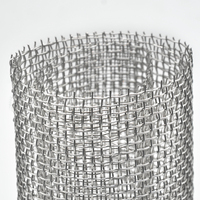 Maille métallique carrée ondulée en acier inoxydable SS304 SS316 1-500 mesh, filtre à tamis, maille métallique