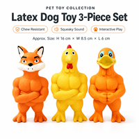 Jouets pour chiens en caoutchouc naturel, écologiques, résistants aux morsures, pour la dentition, couineurs, interactifs, pour le jeu des chiens