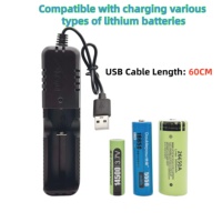 Chargeur de batterie USB double port Type-C avec arrêt automatique, protection contre les surcharges, charge intelligente pour batteries lithium-ion 18650, appareil photo