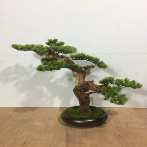 Árbol de Pino Artificial en Maceta, Bonsái Artificial sin Mantenimiento para Decoración de Interiores y Exteriores - Product Image 6