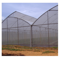 Grande Serre Hydroponique pour la Culture de Fraises, Myrtilles et Légumes