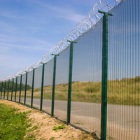 Panneaux de clôture de haute sécurité anti-escalade en treillis soudé thermolaqué avec acier à faible teneur en carbone pour usage en ranch, aéroport, voie ferrée, prison