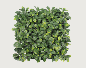 Moderno hierba falsa pared 50cm x 50cm pared artificial planta al aire libre <span class=keywords><strong>vertical</strong></span> verde en <span class=keywords><strong>el</strong></span> jardín y Plaza - Product Image 6