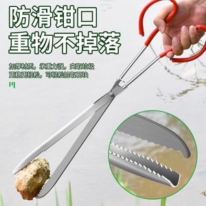 Baolian Stainless Steel Eel Catcher Clips With Triple Tooth Grip For Freshwater Fishing - Product Image 4