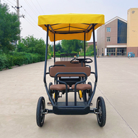 Vente en usine Surrey vélos auto rickshaw entreprise lithium plomb-acide batterie choix pédale d'assistance parc d'attractions