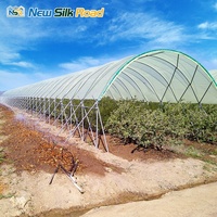 Grande serre agricole multi-chapelles à structure en acier et film PE, ventilation latérale, pour culture de légumes, tailles personnalisables