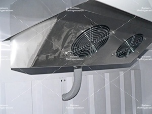 Vente en gros de glacières en sacs à <span class=keywords><strong>porte</strong></span> unique pour l'extérieur, <span class=keywords><strong>distributeur</strong></span> de glaçons sous emballage commercial - Product Image 6