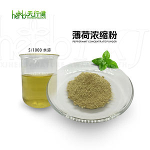 ペパーミント粉末ミントエキス天然ペパーミント濃縮粉末ペパーミント粉末 - Product Image 5