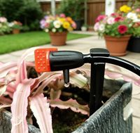 MAXIWORLD Arroseurs réglables pour plantes succulentes de jardin avec plastique PP durable pour tuyau de 4 mm/7 mm, usage domestique
