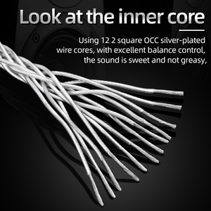 ATAUDIO <span class=keywords><strong>HIFI</strong></span> Cable <span class=keywords><strong>de</strong></span> Alimentación <span class=keywords><strong>HIFI</strong></span> Más Vendido, 7N OCC Plateado, para Amplificador <span class=keywords><strong>de</strong></span> <span class=keywords><strong>CD</strong></span>, Enchufe EU/US/AU, Cable <span class=keywords><strong>de</strong></span> Alimentación CA <span class=keywords><strong>HIFI</strong></span> <span class=keywords><strong>de</strong></span> 1.5m - Product Image 4