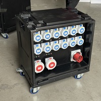 Boîtier de distribution MCB 12 voies 3 phases 5 fils avec surveillance tension/courant pour site d'aquaculture IP44 220V 32A