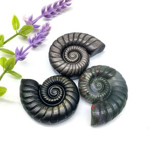 Mẫu Hóa Thạch Ammonite Vỏ Thạch Anh Đá Obsidian Bạc Chất Lượng Cao Tự Nhiên Hóa Thạch Ốc Sên Để Bán - Product Image 4