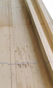 Chất lượng cao nhiều lớp Veneer gỗ ván giàn giáo vật liệu xây dựng <span class=keywords><strong>Poplar</strong></span> giàn giáo gỗ ván <span class=keywords><strong>lvl</strong></span> gỗ E1 - Product Image 5