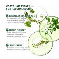 Vente en gros d'usine : Shampooing colorant capillaire biologique à base de plantes, marque privée, doux et non irritant, colorant capillaire noir