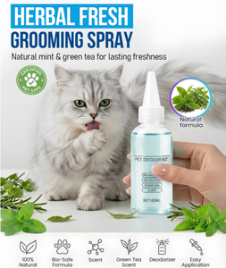 Produits d'usine originaux en vogue 2026 – Accessoires pour animaux <span class=keywords><strong>de</strong></span> compagnie : Brosse démêlante en spray douce pour chats et chiens, peigne en ABS anti-poils volants - Product Image 4