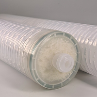 Bon prix 10 pouces boîtier transparent PVDF masque de lavage des mains cartouche filtrante UF pour le traitement de l'eau