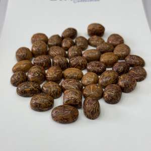 Pierre précieuse naturelle de jaspe marium, cabochons de jaspe de forme mixte de taille libre, produit en vrac de taille libre pour la fabrication de bijoux - Product Image 4