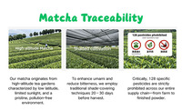 JIUECO Capsules de Matcha Cérémonial Bio Pur - Sachet Sous Vide Thé Santé Certifié HACCP ISO22000 HALAL Thé en Vrac 24 Mois