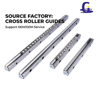 Nouveau guide à rouleaux croisés de remplacement GS V9-300-12Z, rail coulissant de haute précision, roulement à rouleaux linéaire en acier, garantie 1 an