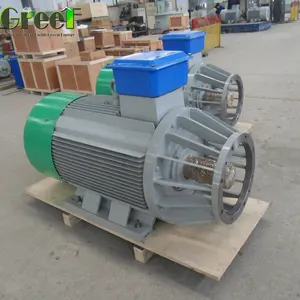 50KW 250RPM Low RPM Permanent Magnet Synchronous Generator Magnetic Field Generator