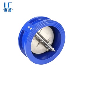 Válvula de Retención Tipo Mariposa de Doble Solapa DH77X-16Q para Bomba de Agua QT450-10/WCB/Acero Inoxidable con Sellado de Goma EPDM, Tamaño de Puerto de 2 Pulgadas - Product Image 1