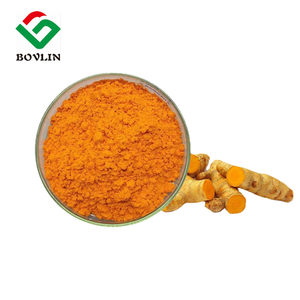 Bubuk Kurkumin Liposomal Kemurnian Tinggi 10% 70% Kurkumin Liposom Ekstrak Kunyit Organik Bubuk - Product Image 2