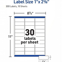 Étiquettes transparentes mates personnalisées de 1 po x 2-5/8 po, autocollants vierges imprimables pour envoi postal, 300 étiquettes/paquet pour imprimante laser et jet d'encre