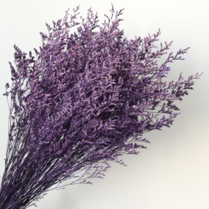 Herbe de Limonium Naturelle Préservée, Sans Nécessité d'Eau, Statice Séchée Éternelle, Décoration Bohème pour Mariage, Fête des Mères, Vase d'Intérieur - Product Image 4