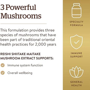 USDA chứng nhận nấm bổ sung hữu cơ <span class=keywords><strong>Ganoderma</strong></span> lucidum chiết xuất <span class=keywords><strong>Ganoderma</strong></span> lucidum Bột Nấm bào tử - Product Image 4