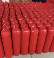 Extincteur à dioxyde de carbone en acier de haute qualité 2/3/5/7/9 kg, extincteur à CO2, bouteille de gaz