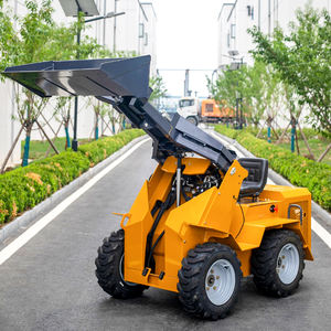 מעמיס זחלי הידראולי 0.3 טון 0.45 טון מונע בדיזל למכירה - Product Image 3