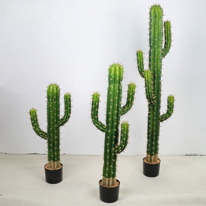 Piante di Cactus Artificiali all'Ingrosso, Grandi Piante Artificiali in Plastica Verde in Vaso, Bonsai per Decorazione d'Interni - Product Image 5