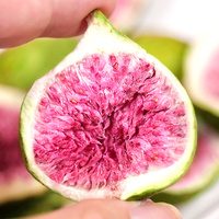 Figues séchées en vrac, pur fruit croustillant lyophilisé, tranches de figues séchées à l'air, fruits secs