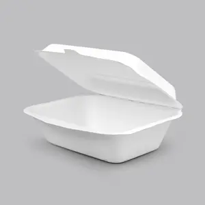 Bagasse OEM ODM 500ml 650ml 750ml 850ml 1000ml 1300ml 2 compartiments bagasse canne à sucre alimentaire boîte à lunch conteneur à charnière avec couvercle