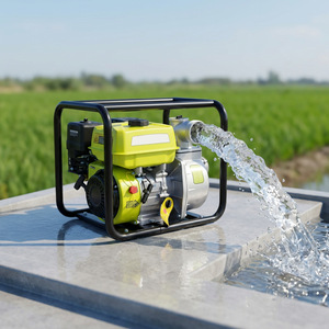 Bomba de Agua a Gasolina de 2 y 4 Pulgadas, Arranque Manual, Acero Inoxidable, Sistema de Riego Agrícola - Product Image 1