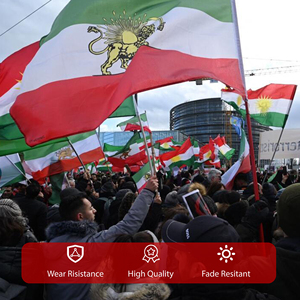 Флаг Ирана с изображением льва, 3x5 футов, на заказ, из полиэстера, с львом и солнцем, с латунными люверсами, для поддержки иранской идентичности и культурных ценностей - Product Image 5