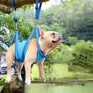 KS Convenient Pet Grooming <b>Hammock</b> for Dog with Adjustable Strap SMLXL Size Hanging Style Nail Trimming Support - Product Image 2